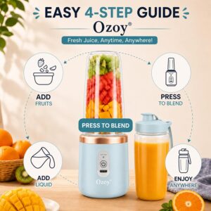 Buy Stainless Steel Juicer Mixer Online