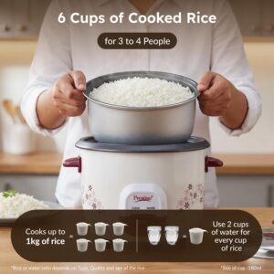 Best Rice Cooker for Small Families